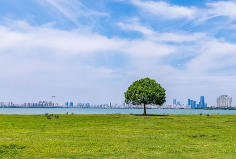 一圖讀懂《國務(wù)院關(guān)于修改〈消耗臭氧層物質(zhì)管理?xiàng)l例〉的決定》